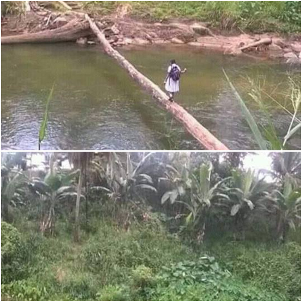 PHOTO OF THE WEEK: Bravery of the African child in pursuit of Education