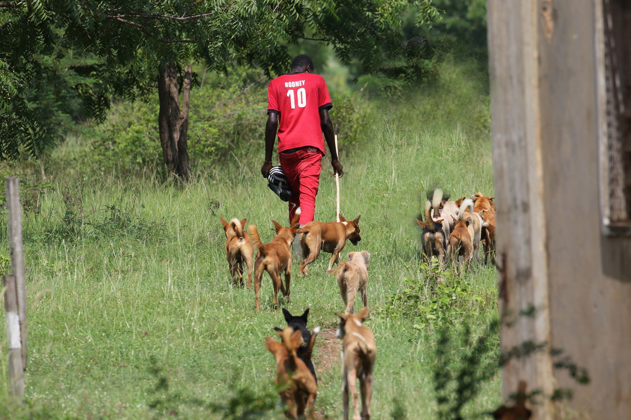 Photo of the Week: Meet the man who charms dogs for hunting