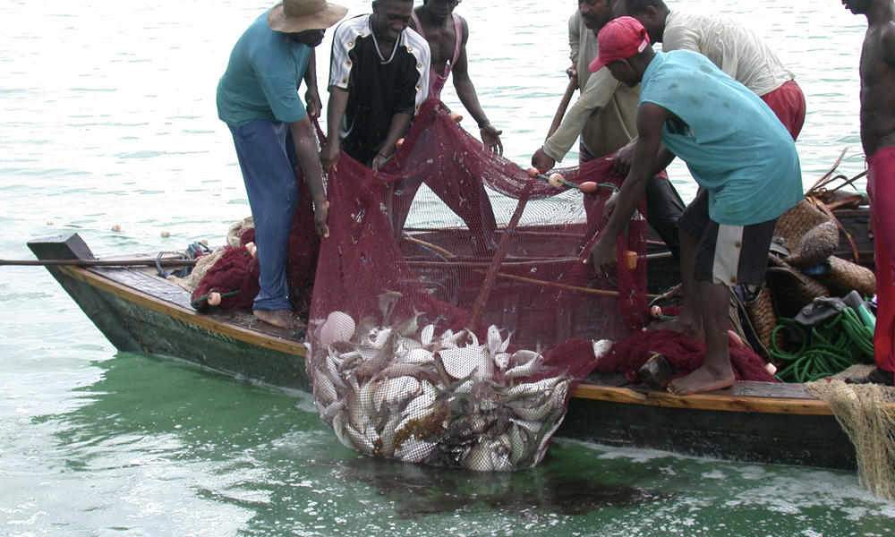 Seasonal fishing ban to begin on May 15th to June 15th