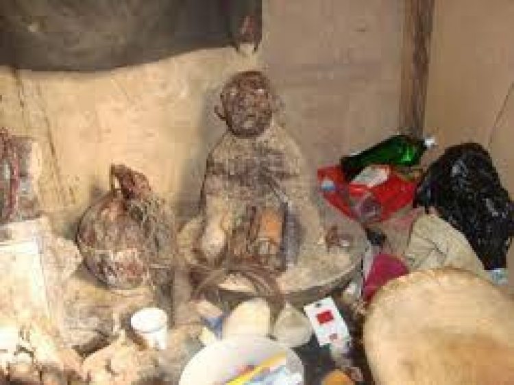 VIDEO: Some men fake madness to sleep with mad women for rituals – Prophetess reveals