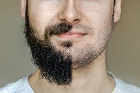 Women prefer bearded men over clean-shaven ones: Study