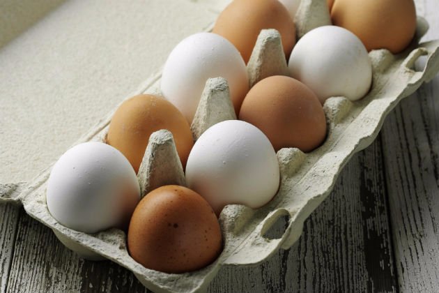 Egg