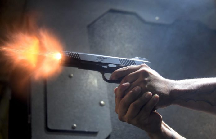 Gun logo