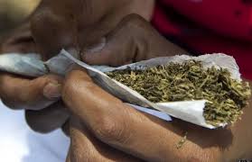 youth-mix-opium-with-weed-in-new-drug-abuse-trend.jpg