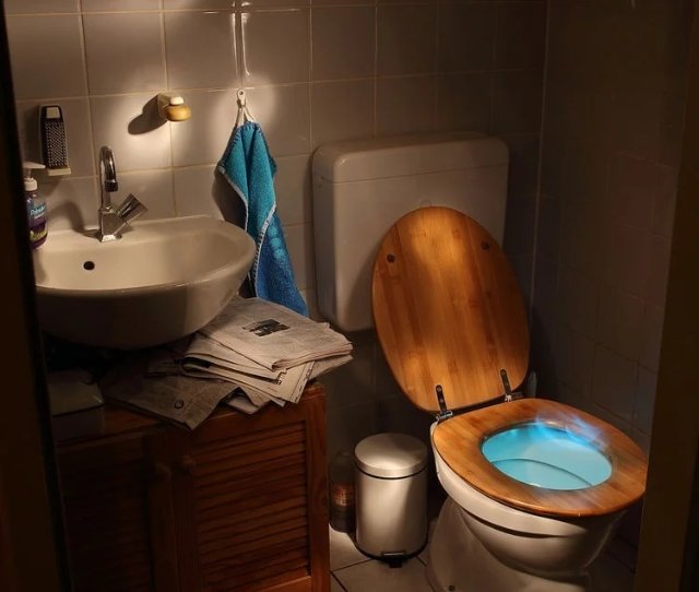 toilet toilet