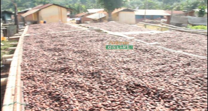 We don’t smuggle subsidised fertiliser – Farmers tell Akufo-Addo