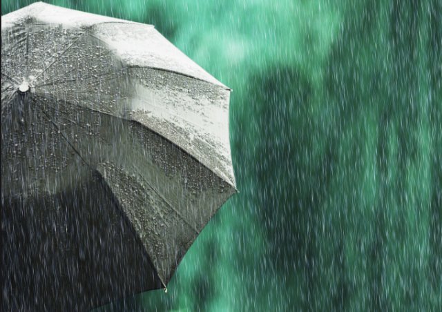 6762772711718_1301692381190 rains