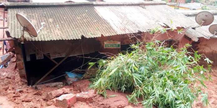 Tree falling and crushing a house_1 collapse building