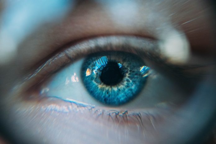 vision eyes vision eyes