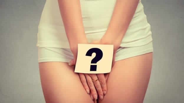 2437533659549_4117751723931 vagina