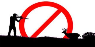 ban on hunting