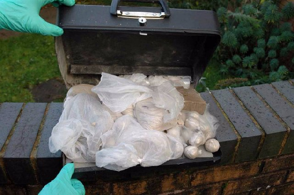83206031 cocaine