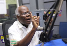 NPP flagbearer race should not be reduced to a contest of rich men – K.T. Hammond