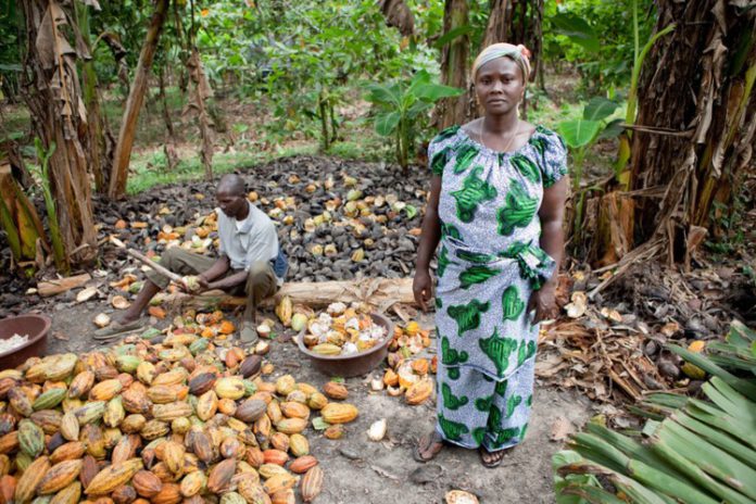 Nestle-promises-action-to-improve-women-s-lives-on-cocoa-farms_wrbm_large