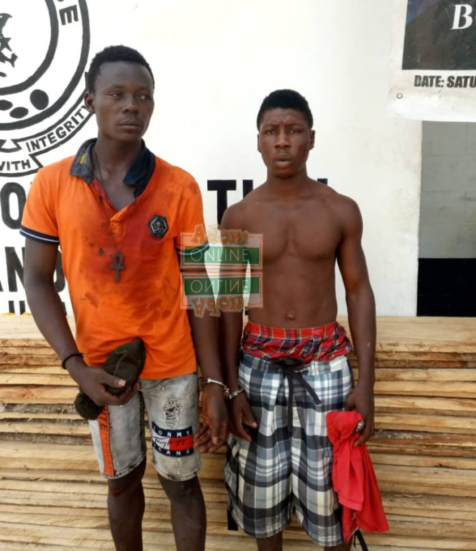 WhatsApp Image 2019-07-18 at 17.39.33 acid robbers