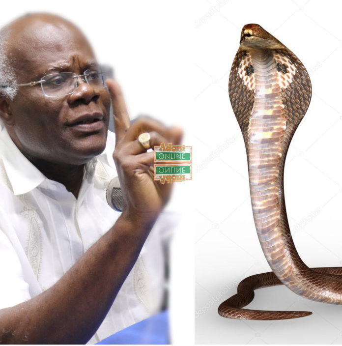 Kobina Tahir Hammond and Snake