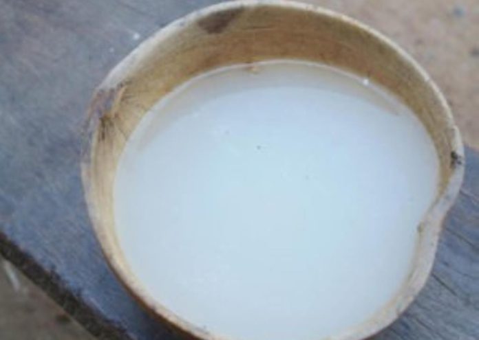 727201844143_freshpalmwine300x225