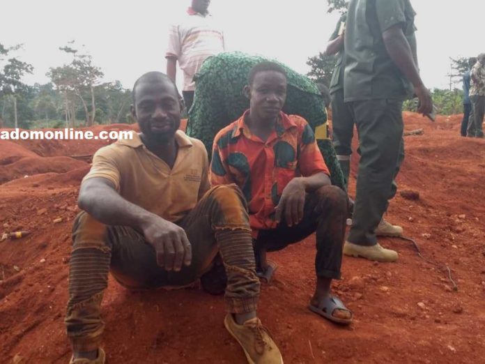 Kwabena Yeboah and Akwasi Yeboah after their arrest Kwabena Yeboah and Akwasi Yeboah after their arrest
