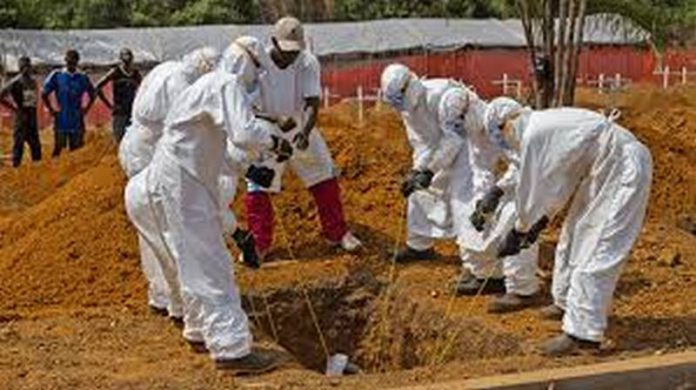 download (Copy) ebola