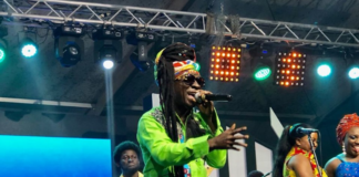 Kojo Antwi performs at Ghana World Music Festival 2019 | Photo credit: Dennis Adu/ Adomonline.com