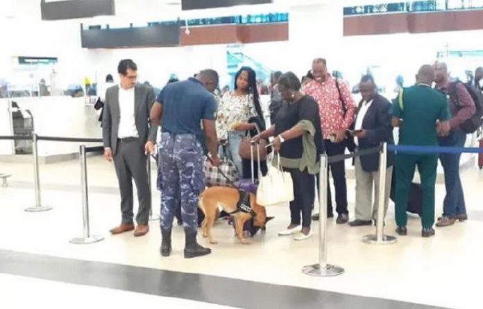 The sniffer dogs are being used to screen any infractions on passengers and their luggage The sniffer dogs are being used to screen any infractions on passengers and their luggage