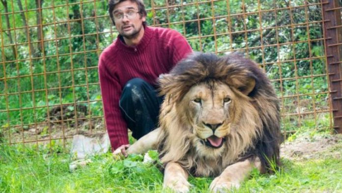Lion