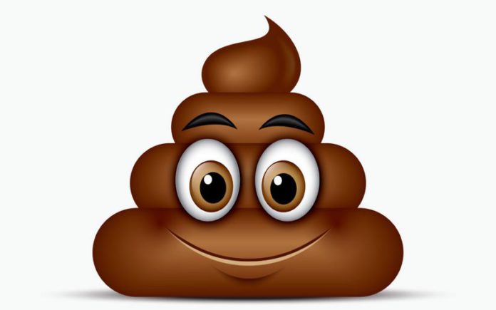 shutterstock_700950988-1080x675 (Copy) poop