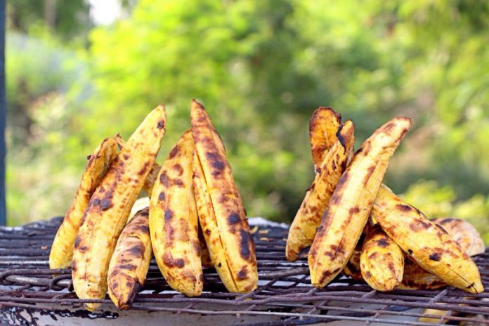 roasted plantain roasted plantain