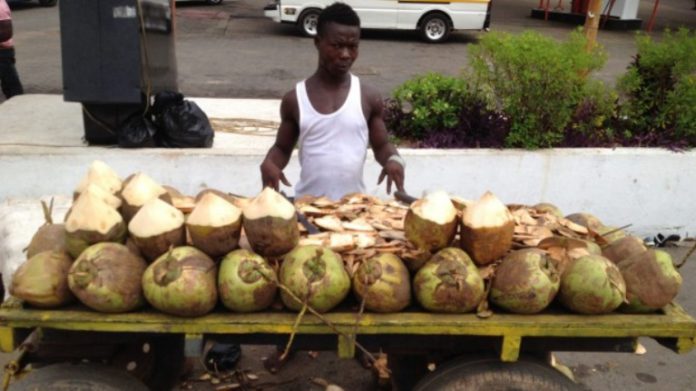 Coconut seller