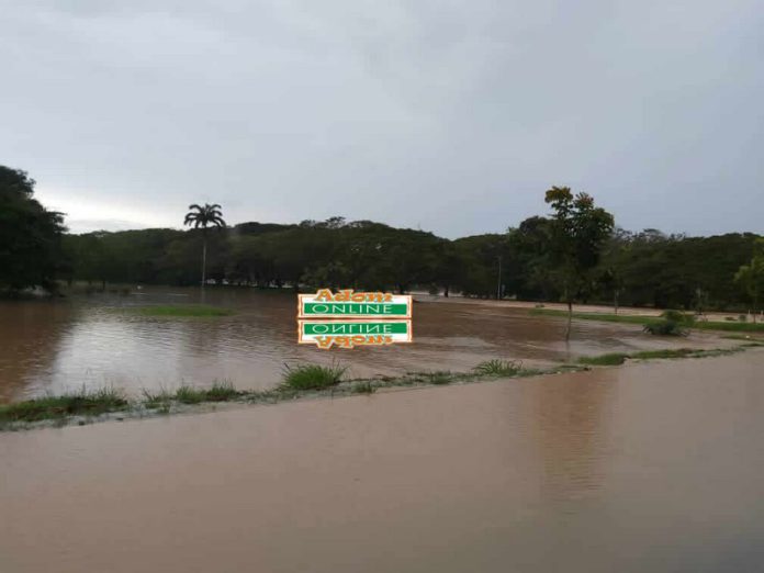 Flood