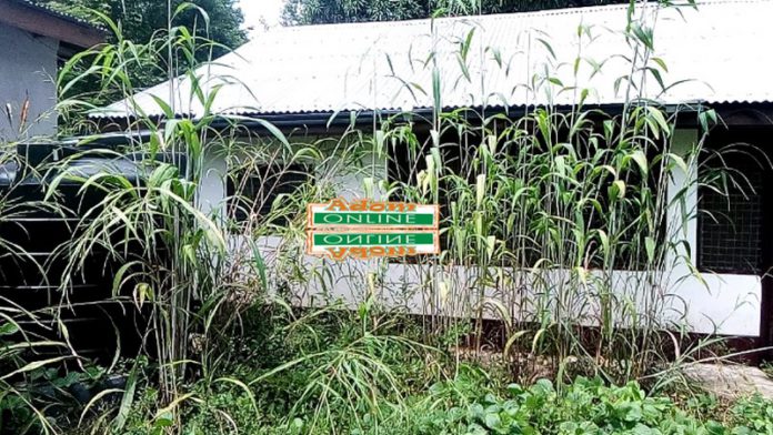 Leprosarium turned into nursing school left to rot in bush Leprosarium turned into nursing school left to rot in bush