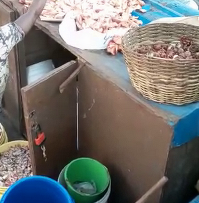 Woman sprays mosquito insecticide spray on meat