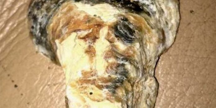The-seashell-was-discovered-on-Winchelsea-Beach-East-Sussex-750x375 (Copy) Osama Bin Laden