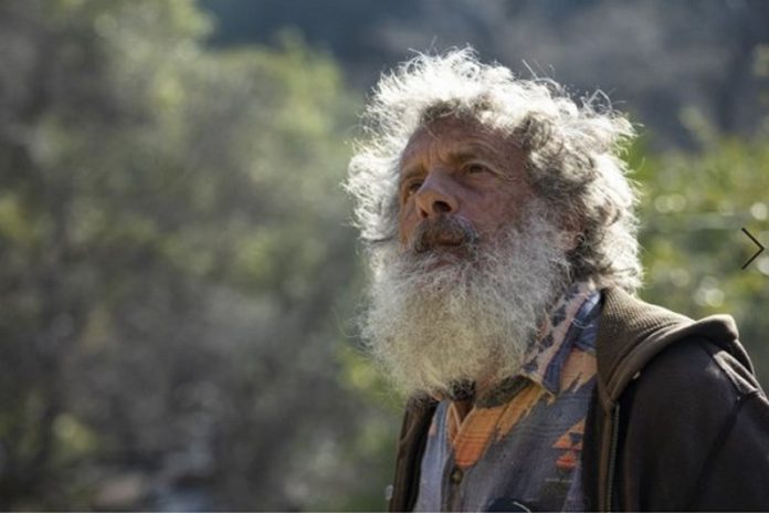Art Shapiro, a professor of evolution and ecology at UC Davis, wanders Gates Canyon near Vacaville, Calif., looking for butterflies.(Brian van der Brug / Los Angeles Times) Art Shapiro, a professor of evolution and ecology at UC Davis, wanders Gates Canyon near Vacaville, Calif., looking for butterflies.(Brian van der Brug / Los Angeles Times)