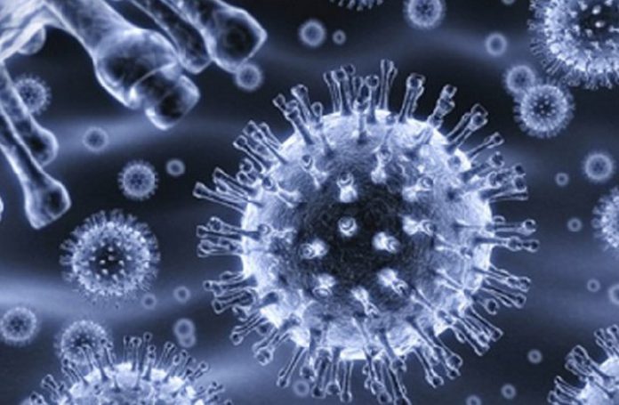 Blood samples had been taken by the Noguchi Memorial Institute for Medical Research for testing Blood samples had been taken by the Noguchi Memorial Institute for Medical Research for testing