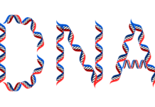 Counselor reveals why men’s DNA may not match their children’s