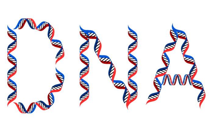 DNA-typography