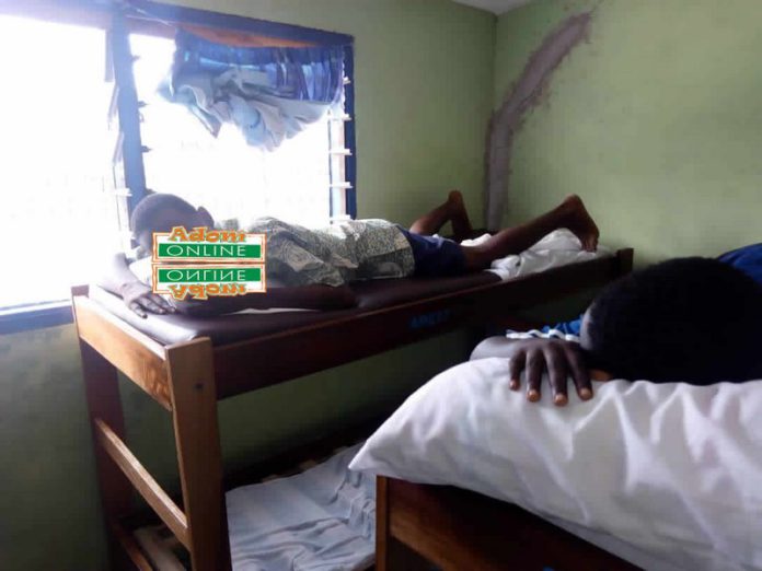 A3 influenza outbreak A3 influenza outbreak