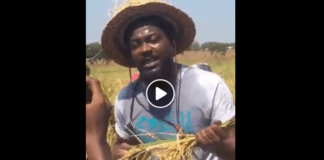 Samini joins made-in-Ghana rice campaign