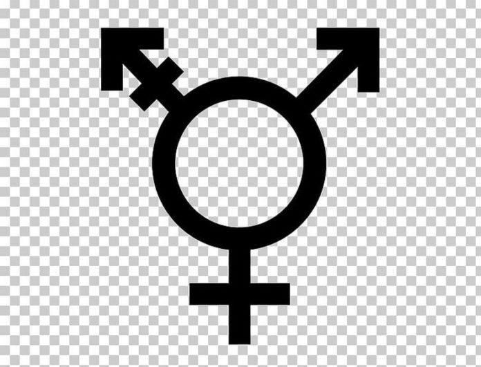 imgbin-transgender-gender-symbol-transsexualism-symbol-2Z5ZFstT7AdxB3k4VfWV6rUNg (Copy)