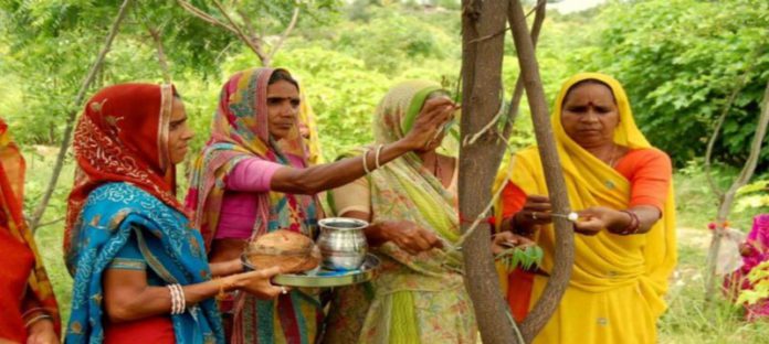 this_amazing_village_in_india_plants_111_trees_every_time_a_girl_is_born_hero.jpg__1264x568_q85_crop_subsampling-2 (Copy)