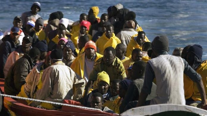 60909812 (Copy) migrant