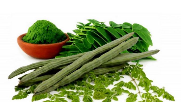 75849344 (Copy) moringa