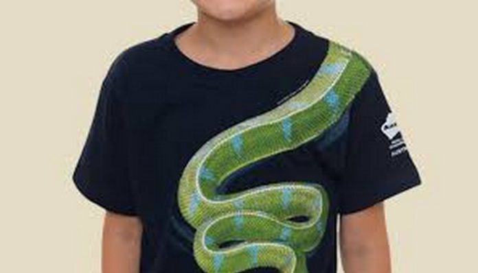 download (Copy) snake boy
