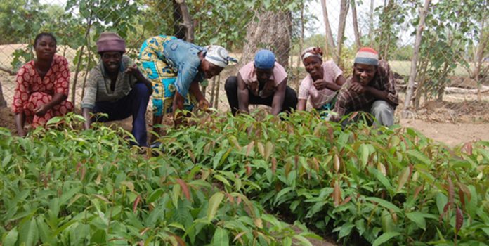 farmers (Copy)