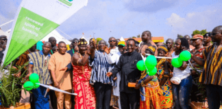 Vice President Dr Mahamudu Bawumia, made the call in Ho, Volta Region on Monday when he opened a one-week Agricultural Fair as part of activities marking this year's Farmers Day celebrations