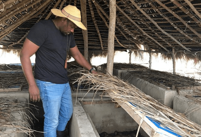 Dumelo shows off snail farm; reveals truth about farming John Dumelo snail farm