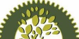 Northern Development Authority