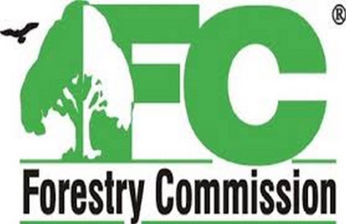FC (1) (Copy)