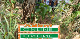 Missing lady found dead with missing body parts